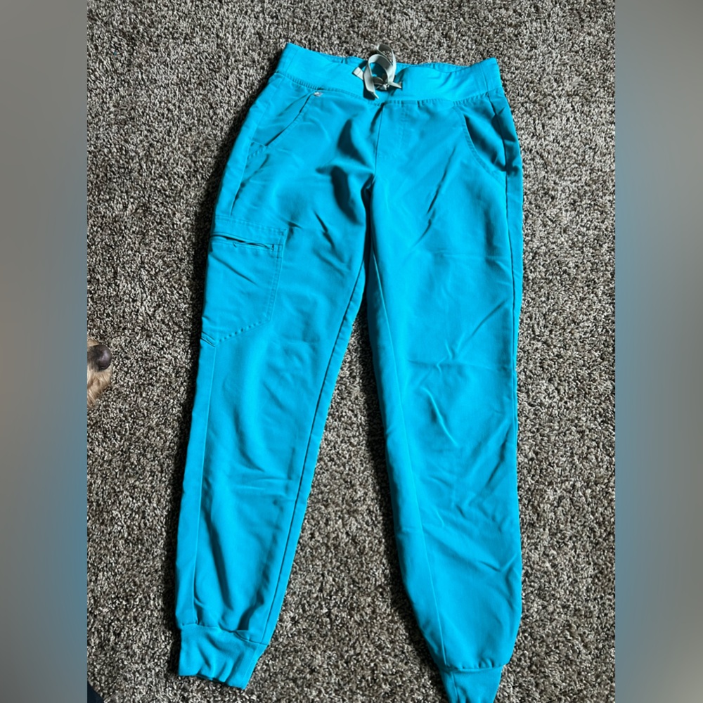 Teal Figs Jogger Scrub Pants, XS